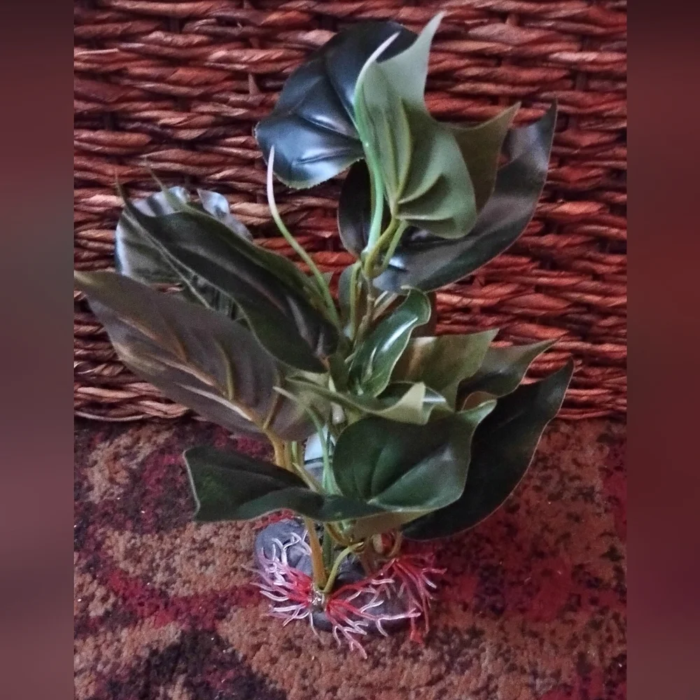 Aquarium Decor